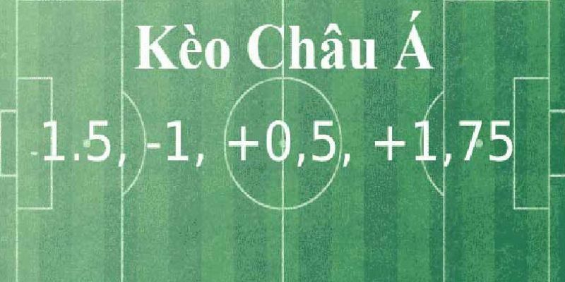 soi keo chau a co nhung ty le nao