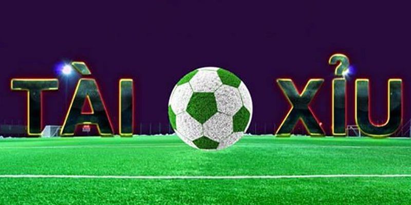 Tài Xỉu 1 Trái Là Sao Và Cách Chơi Dễ Thắng Nhất 2 Giải đáp chi tiết về tài xỉu 1 trái là sao