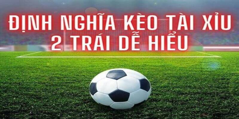Tài Xỉu 2 Trái Là Gì? Cách Đọc Và Phương Pháp Đặt Kèo 2024 2 Tìm hiểu chi tiết về khái niệm kèo tài xỉu 2 trái là gì